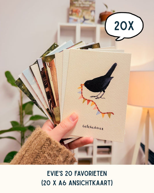 Evie's 20 Favorieten, A6 ansichtkaarten