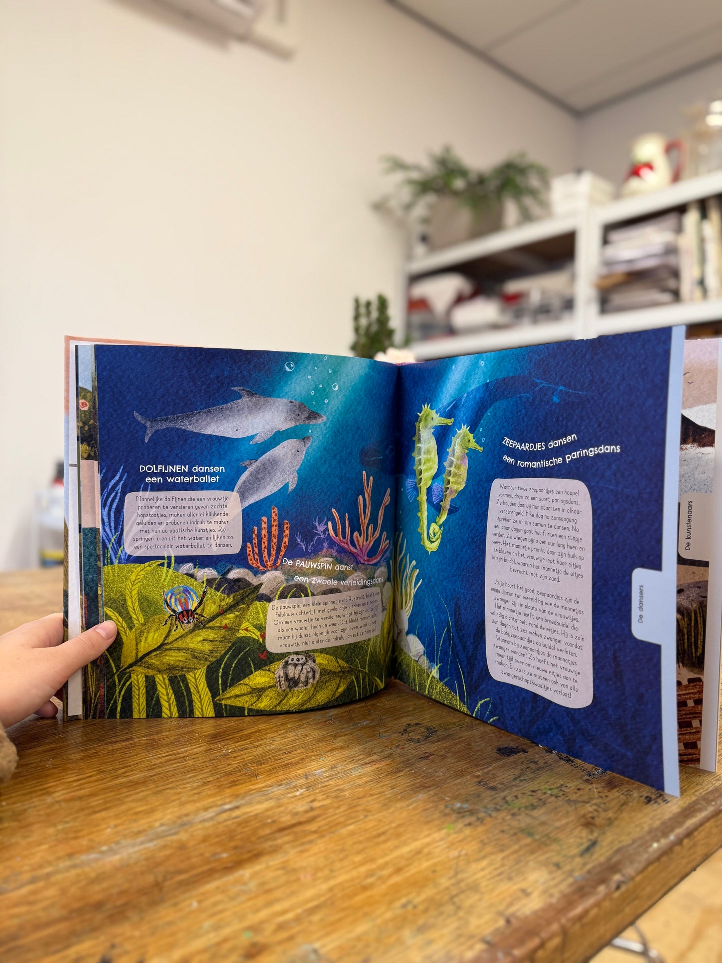 Dieren en hun versiermanieren || informatief prentenboek