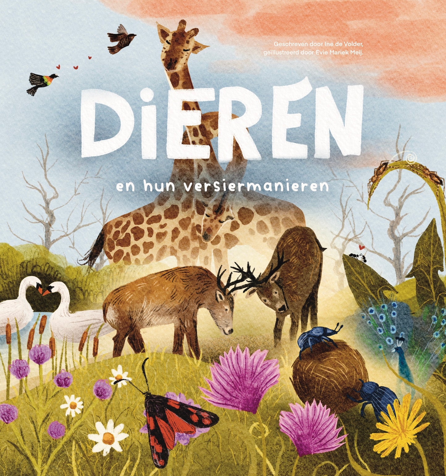 Dieren en hun versiermanieren || informatief prentenboek