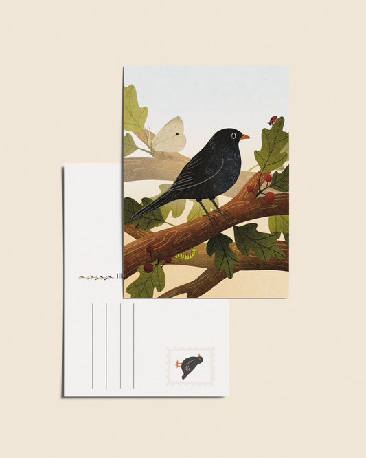 Ansichtkaart 'Mereltje', A6