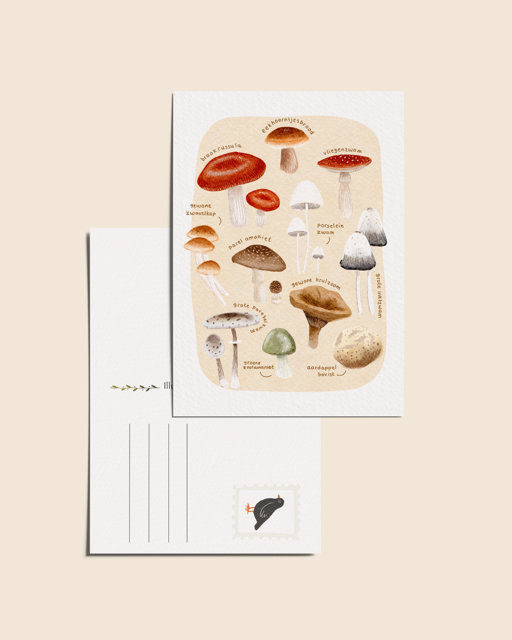 Ansichtkaart 'Nederlandse paddenstoelen', A6