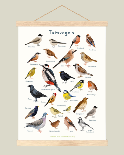 “Tuinvogelposter” – A3 Art Print | Illustratie Poster op 300gsm Tintoretto Gesso (Pre-order, 15/7 leverbaar)
