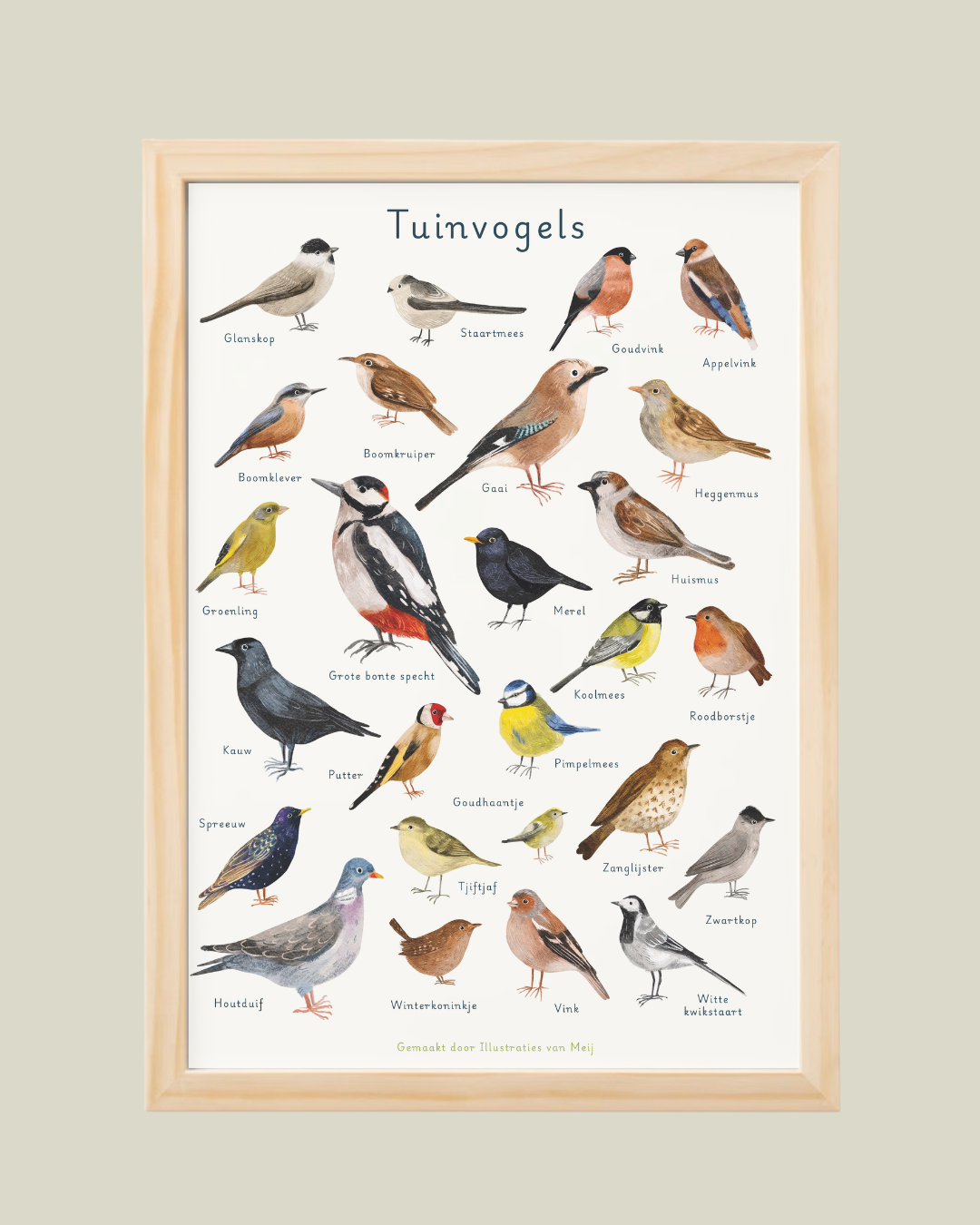 “Tuinvogelposter” – A3 Art Print | Illustratie Poster op 300gsm Tintoretto Gesso (Pre-order, 15/7 leverbaar)
