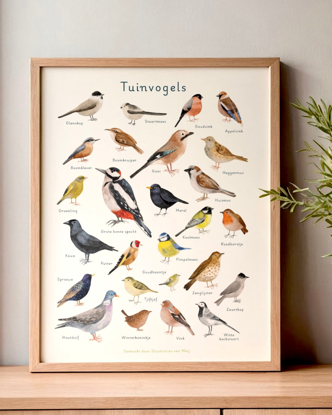 “Tuinvogelposter” – A3 Art Print | Illustratie Poster op 300gsm Tintoretto Gesso (Pre-order, 15/7 leverbaar)