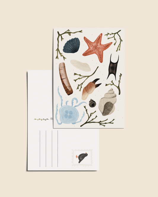 Ansichtkaart 'Strandvondsten', A6
