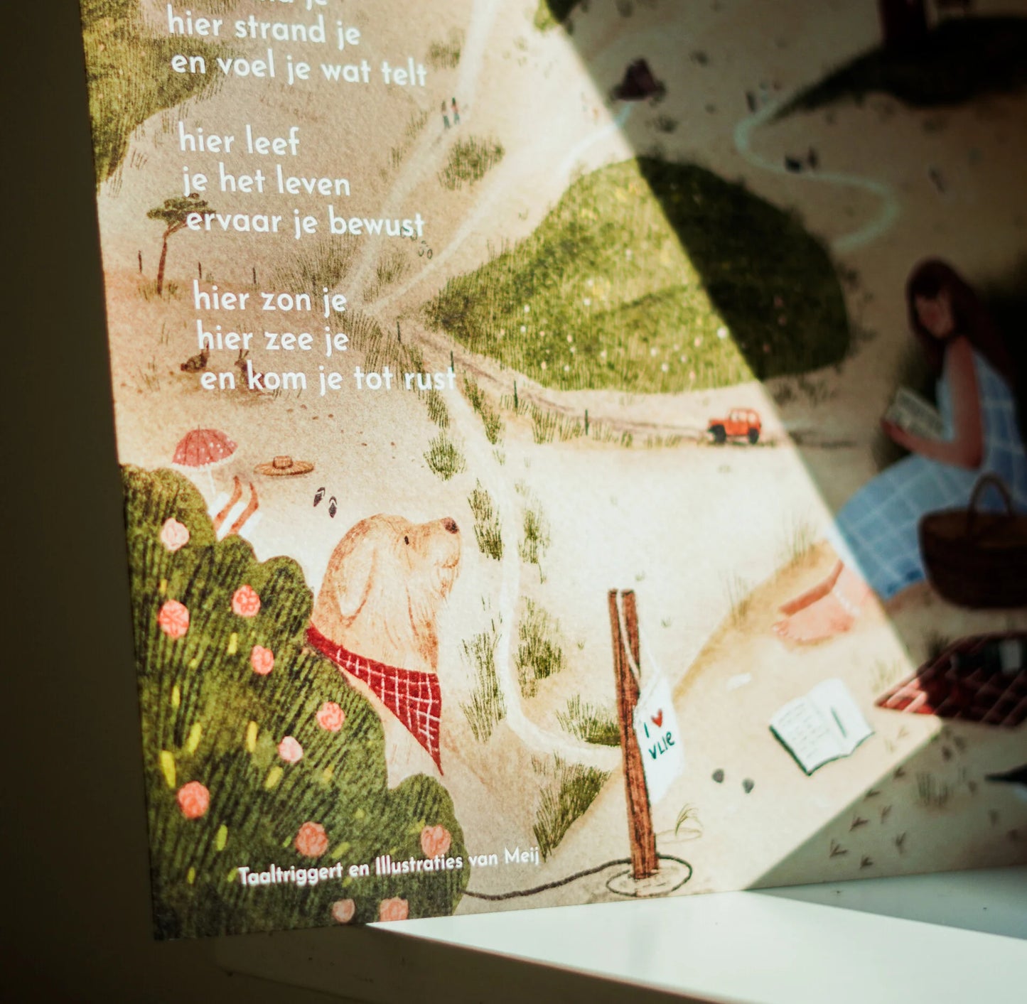 Print 'EILAND', 30x30